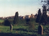 Darenth Park, Old Cemetry, many smallpox victims are buried here.