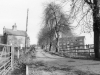 Farm Cottage and Nurses Home. 1985