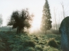 The old cemetery 1988.