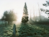 The old cemetery, Varo House on right. c.1985