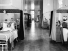 Prototype new ward layout. Joyce Green 1959