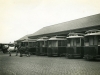 Tram sheds with 'trambulances' and horses. These were used until the 1930's when patients stopped coming down the river.